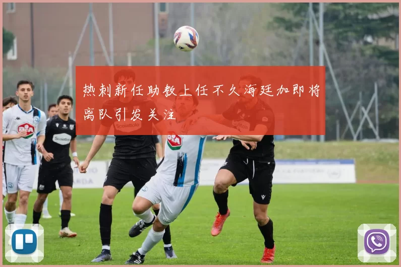 热刺新任助教上任不久海廷加即将离队引发关注