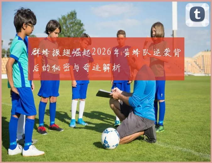 群蜂振翅崛起2026年黄蜂队逆袭背后的秘密与奇迹解析