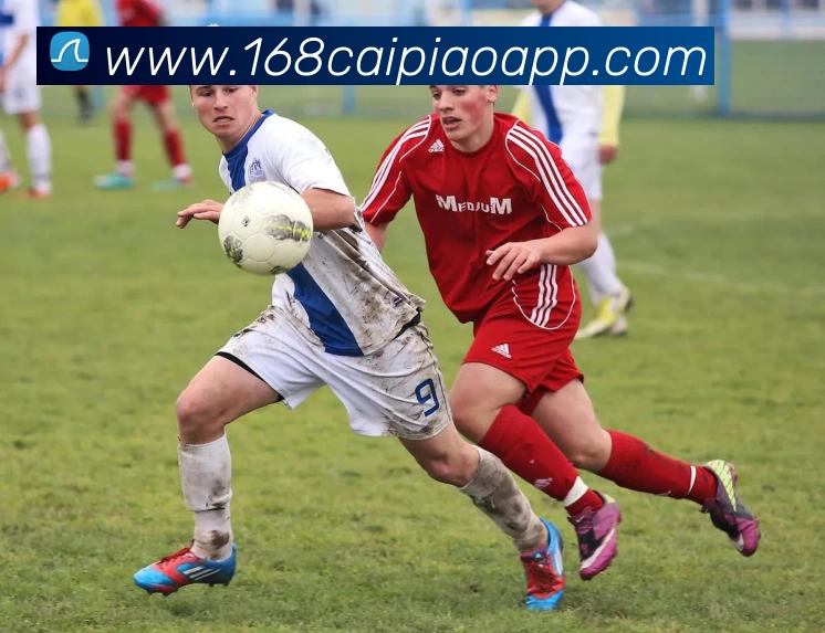 奖项证书